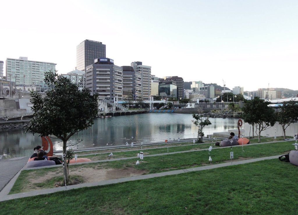 trnz105.jpg