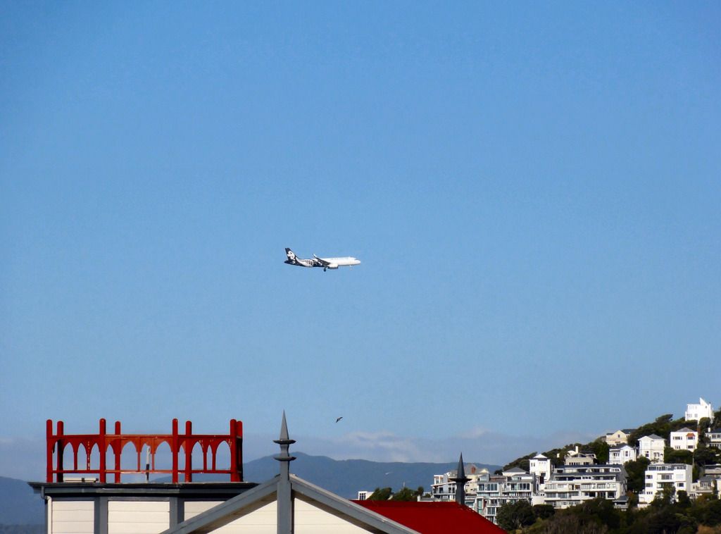 trnz118.jpg