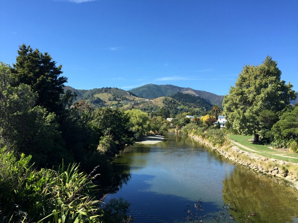 trnz134.jpg
