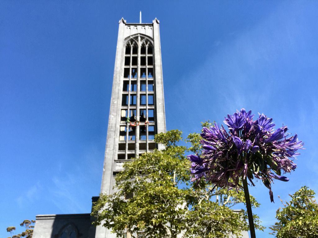 trnz137.jpg