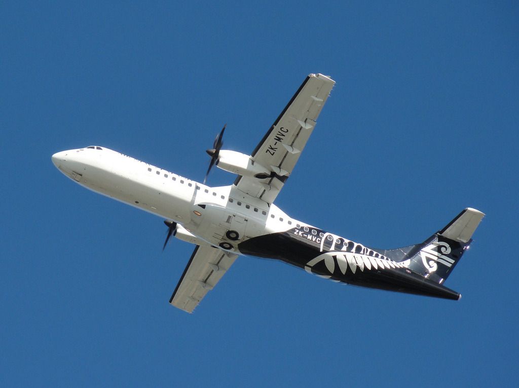 trnz139.jpg
