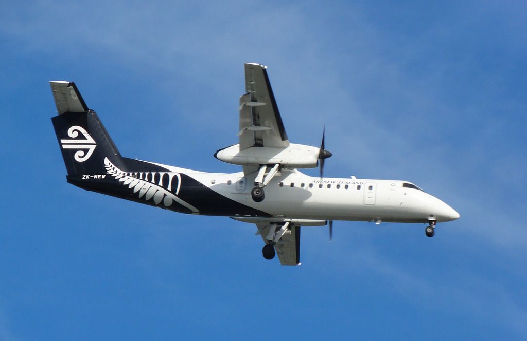 trnz140.jpg