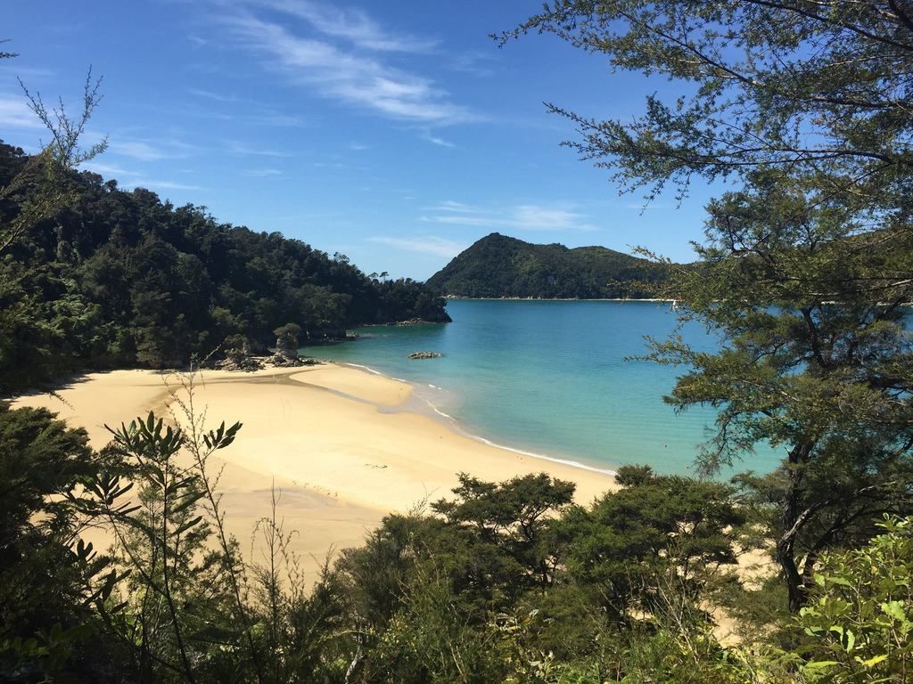 trnz147.jpg