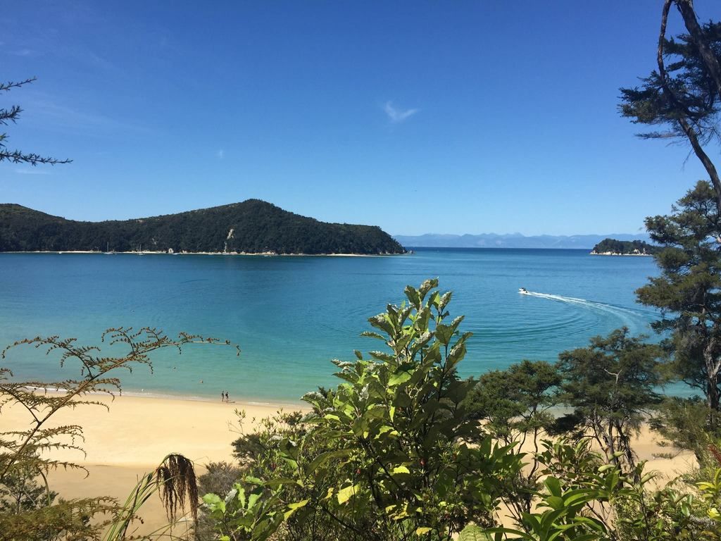 trnz148.jpg