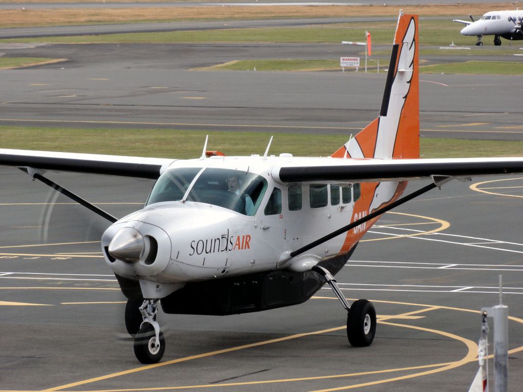 trnz173.jpg