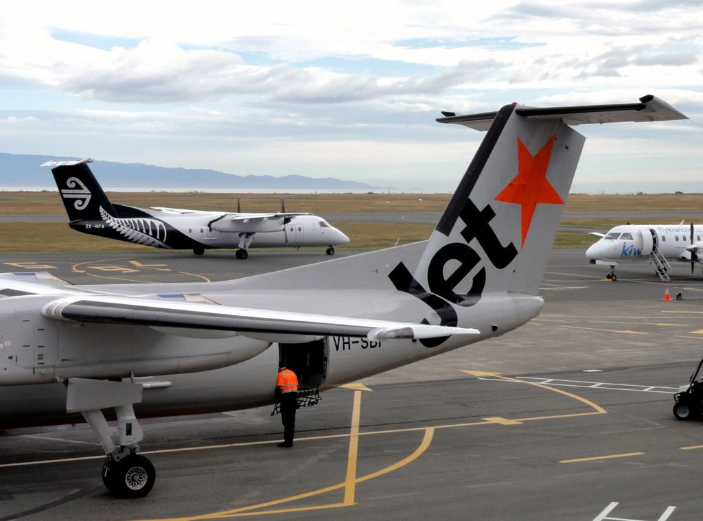trnz174.jpg