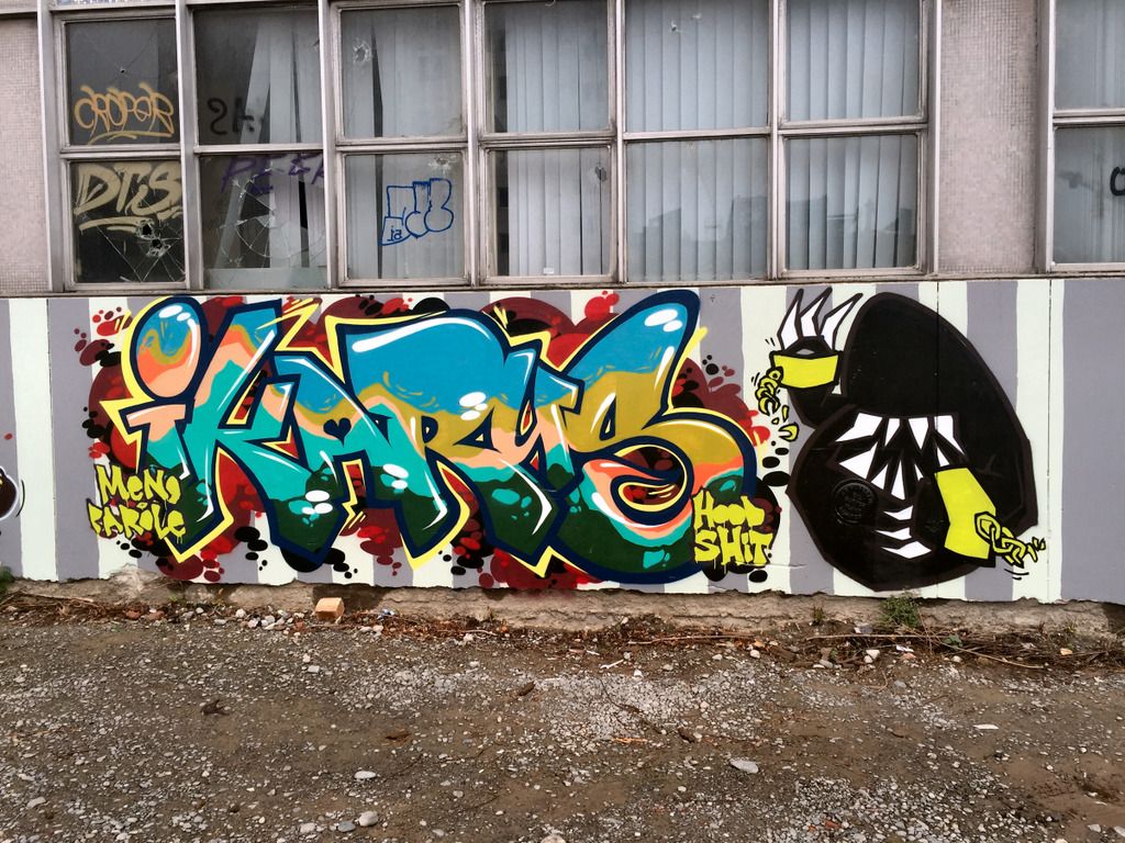 trnz188.jpg