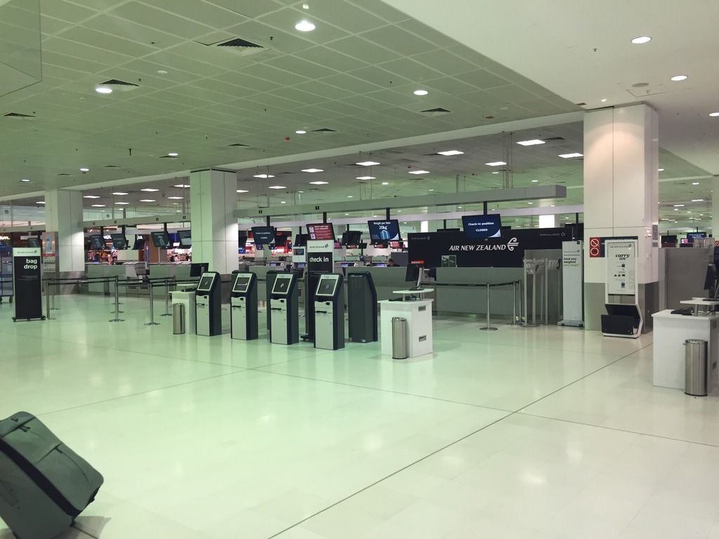 trnz244.jpg