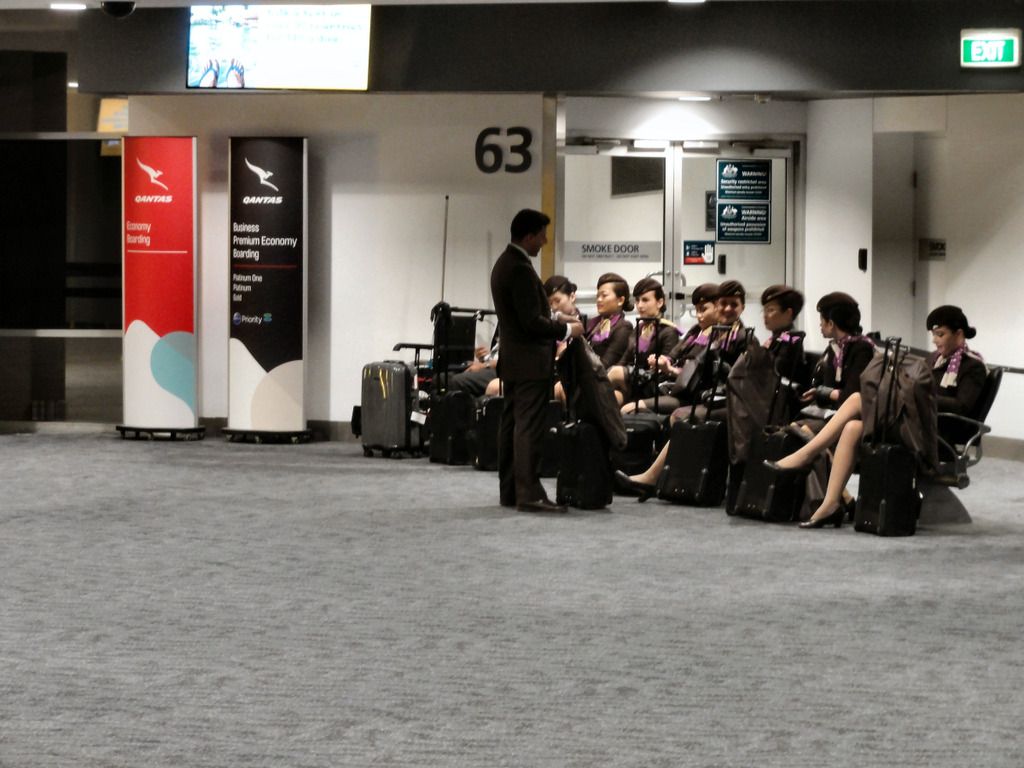 trnz248.jpg