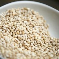  photo pearl-barley-superfood-400x400_zps9a81d30c.jpg