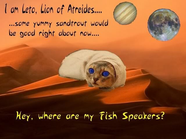 dunecatleto.jpg