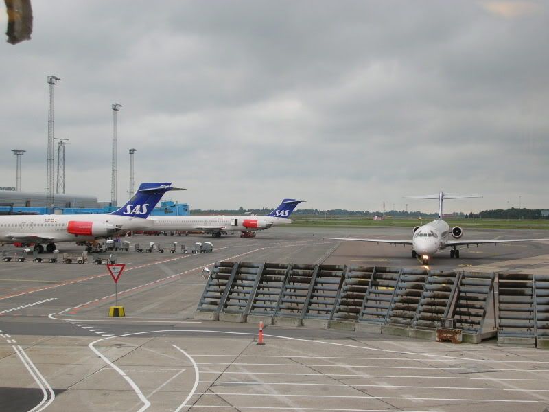 DSCN5866.jpg