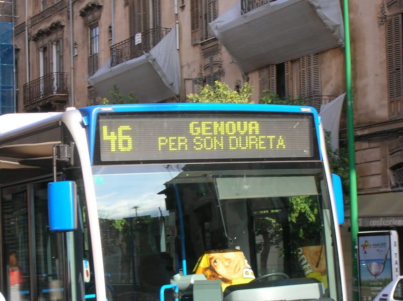 DSCN6256.jpg