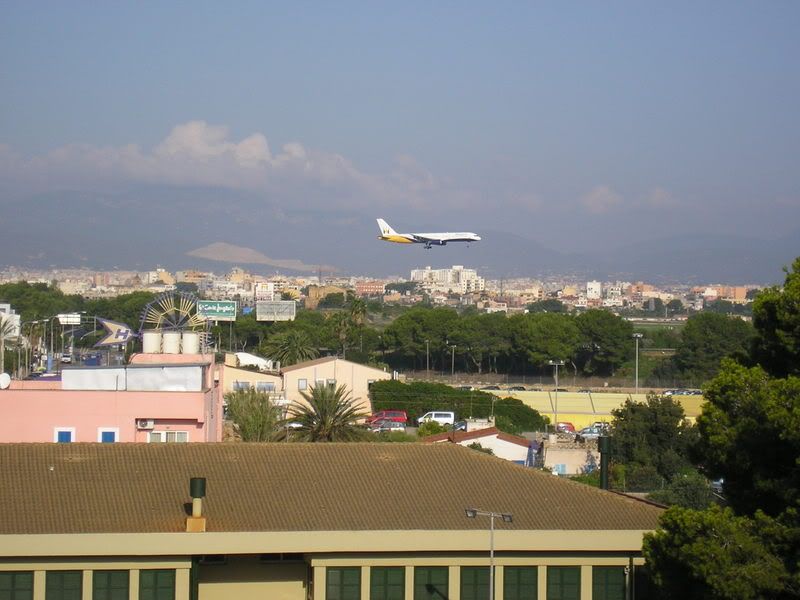 P1010016.jpg