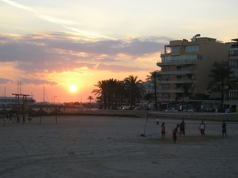 P1010103.jpg