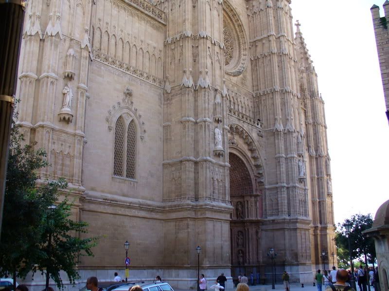 P1010388-1.jpg
