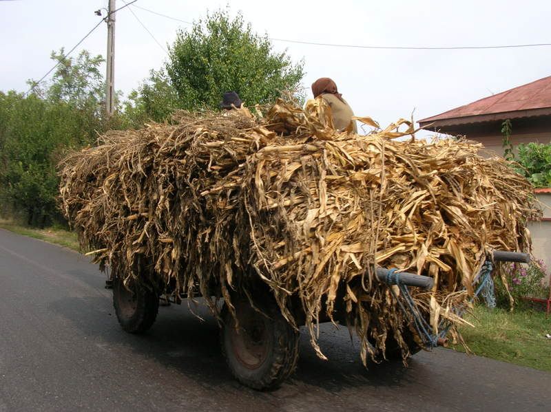 DSCN7278.jpg