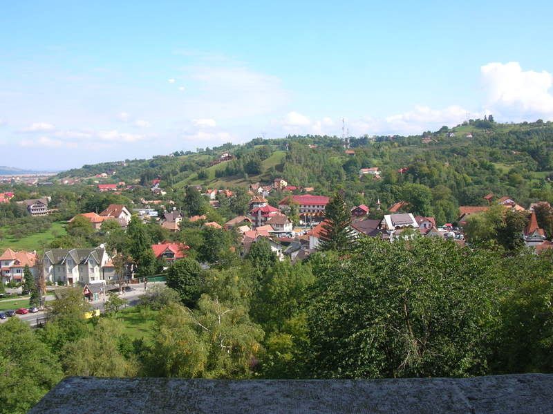 DSCN7385.jpg