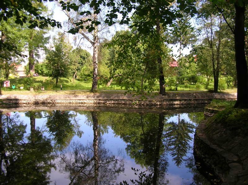 DSCN7410.jpg