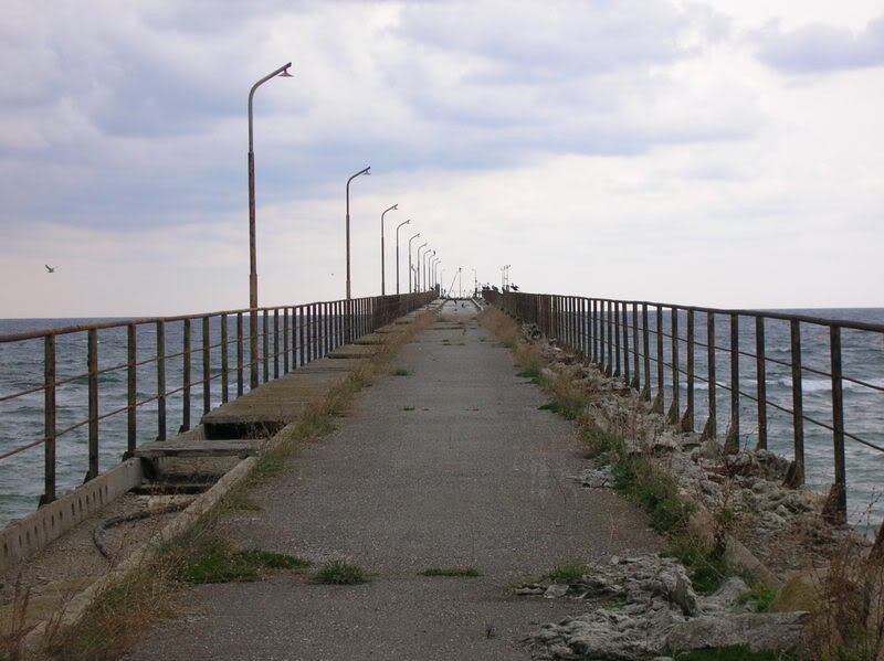 DSCN7483.jpg
