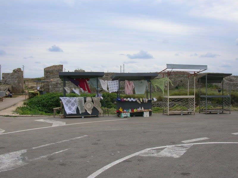 DSCN7503.jpg