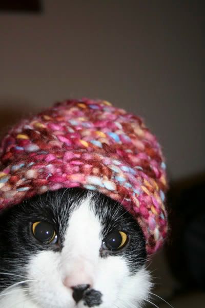 Luther in a hat. HEEE!!