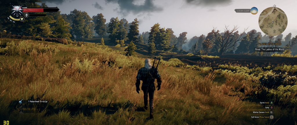 witcher3%202015-07-02%2016-12-43-56.png