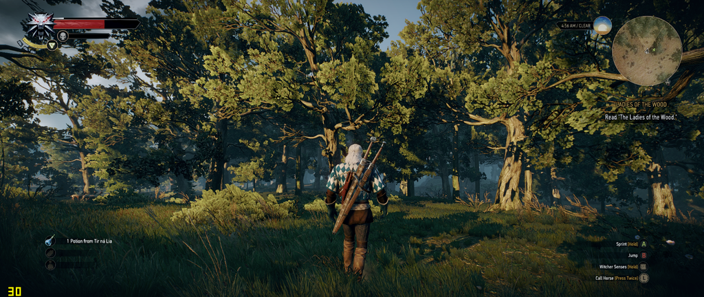 witcher3%202015-07-02%2016-13-54-30.png