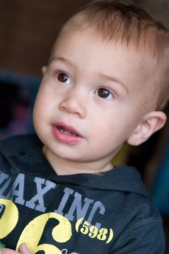 IMAGE: http://img.photobucket.com/albums/v68/shniks/CRW_9640.jpg