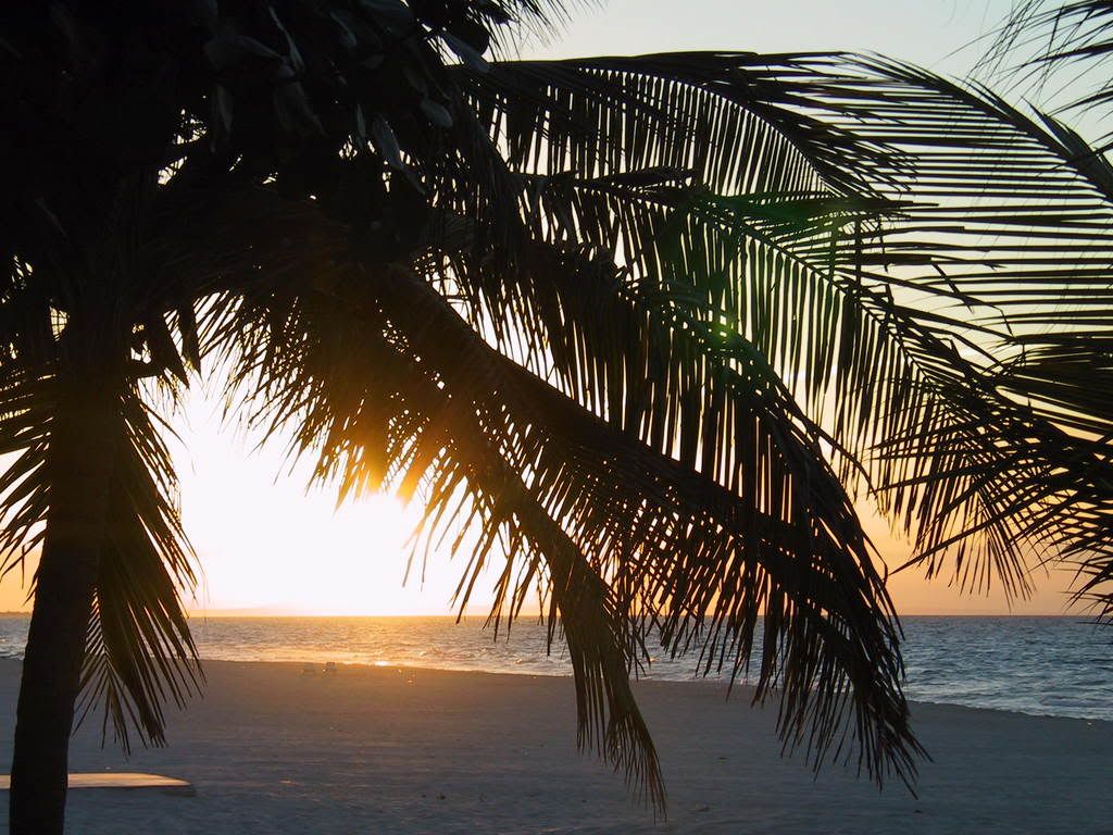 IMAGE: http://img.photobucket.com/albums/v680/Cuba05/Cuba528.jpg