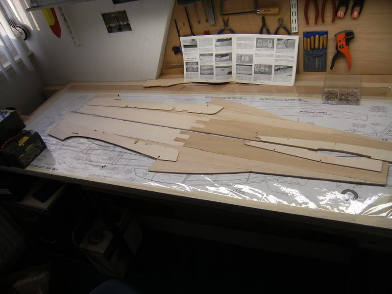 DSCF0207.jpg