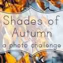 Shades of Autumn Photo Challenge