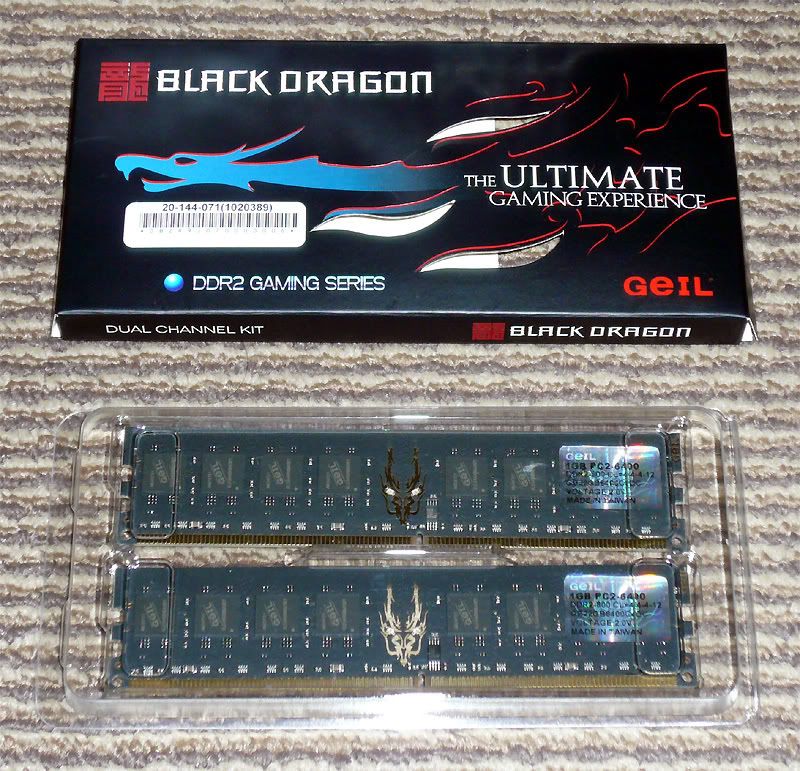 geil black dragon
