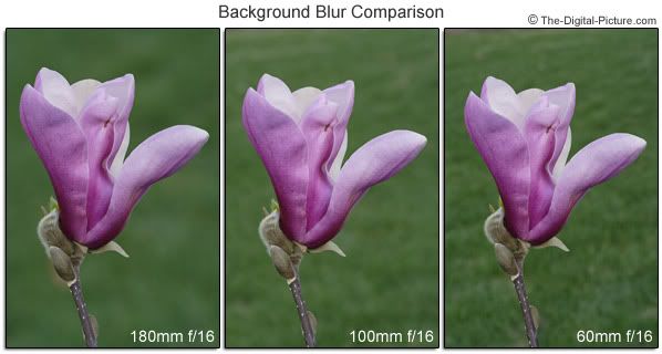 IMAGE: http://img.photobucket.com/albums/v680/ixoye/Focal-Length-Background-Blur.jpg