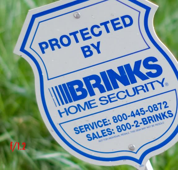 IMAGE: http://img.photobucket.com/albums/v680/ixoye/IMG_8419lrz-crop.jpg