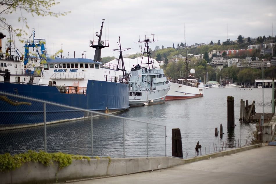 IMAGE: http://img.photobucket.com/albums/v680/ixoye/IMG_8456lrz.jpg