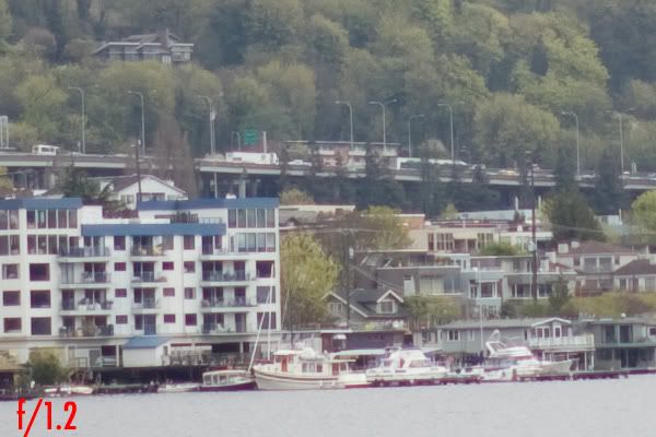 IMAGE: http://img.photobucket.com/albums/v680/ixoye/IMG_8479lrz-crop.jpg