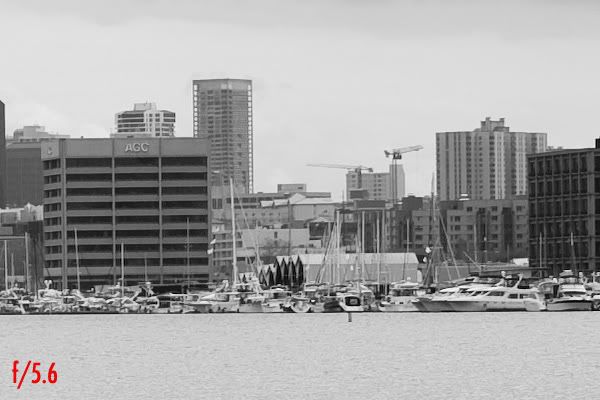 IMAGE: http://img.photobucket.com/albums/v680/ixoye/IMG_8488lrz-crop.jpg