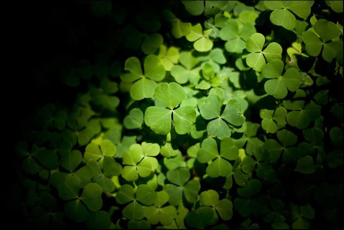 IMAGE: http://img.photobucket.com/albums/v680/ixoye/IMG_9342blog.jpg