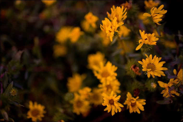 IMAGE: http://img.photobucket.com/albums/v680/ixoye/cordell-discoverypark-0105lrz.jpg