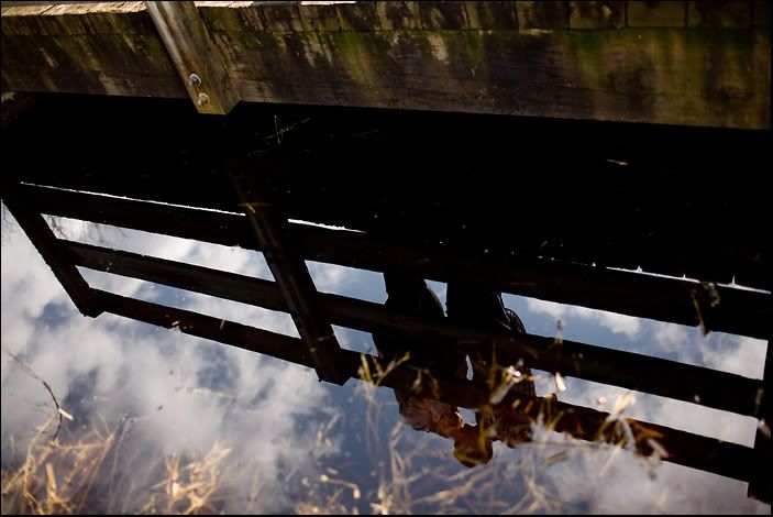 IMAGE: http://img.photobucket.com/albums/v680/ixoye/taratony-eshoot-0039lrz.jpg