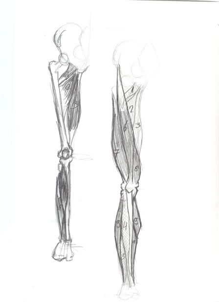 Gloominati´s sketches :!! OFFICIALLY CLOSED!! Gloominati´s sketches :!! OFFICIALLY CLOSED!!