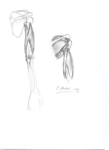 Gloominati´s sketches :!! OFFICIALLY CLOSED!! Gloominati´s sketches :!! OFFICIALLY CLOSED!!