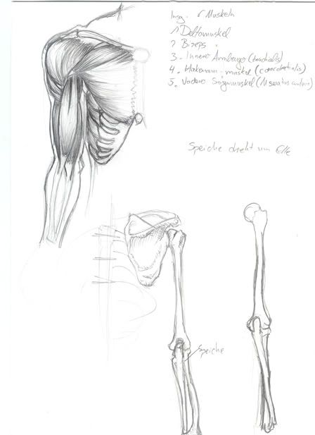 Gloominati´s sketches :!! OFFICIALLY CLOSED!! Gloominati´s sketches :!! OFFICIALLY CLOSED!!