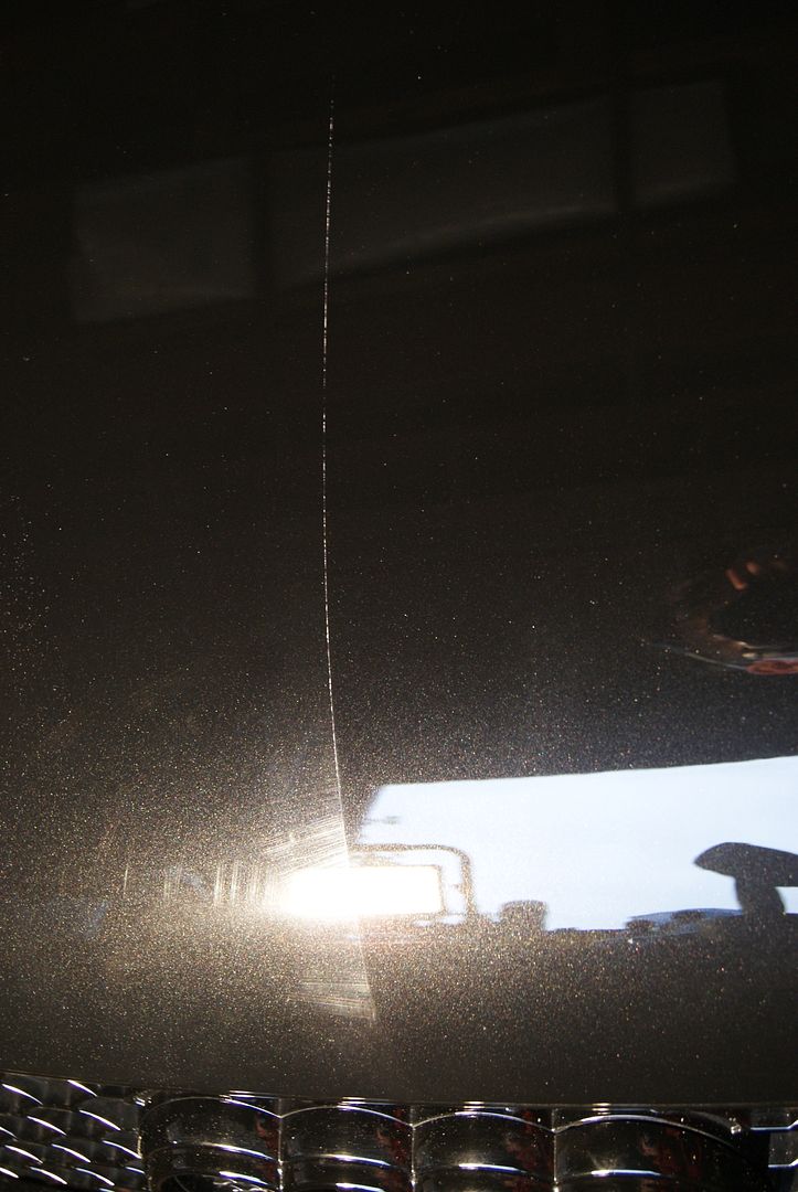 DSC04791.jpg