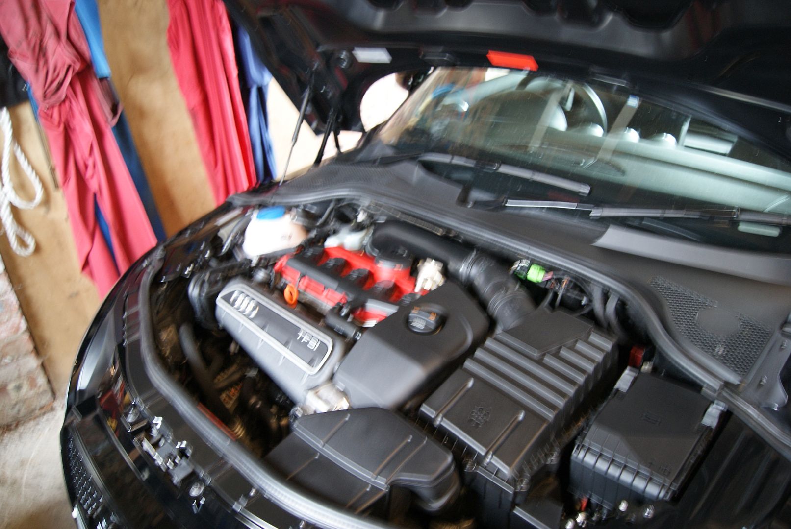 DSC04798.jpg
