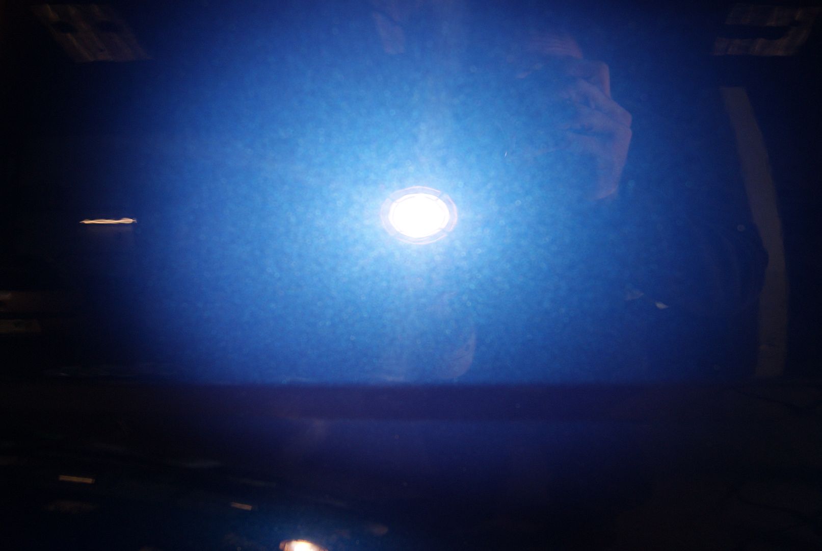 DSC04906.jpg