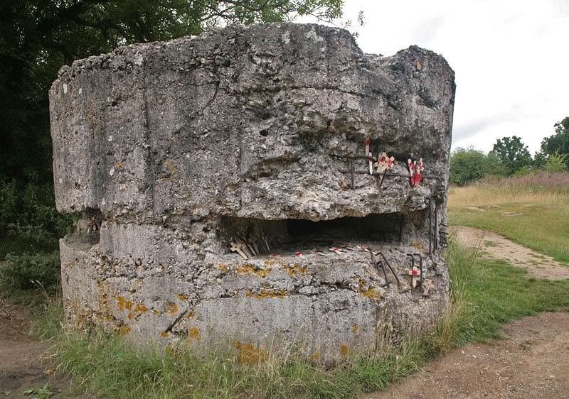 http://img.photobucket.com/albums/v681/motf/2009/Ypres/02-204.jpg