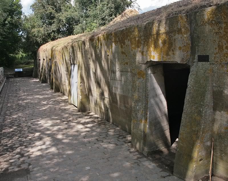 http://img.photobucket.com/albums/v681/motf/2009/Ypres/03-701.jpg
