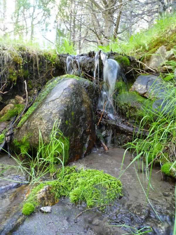 P1010443.jpg